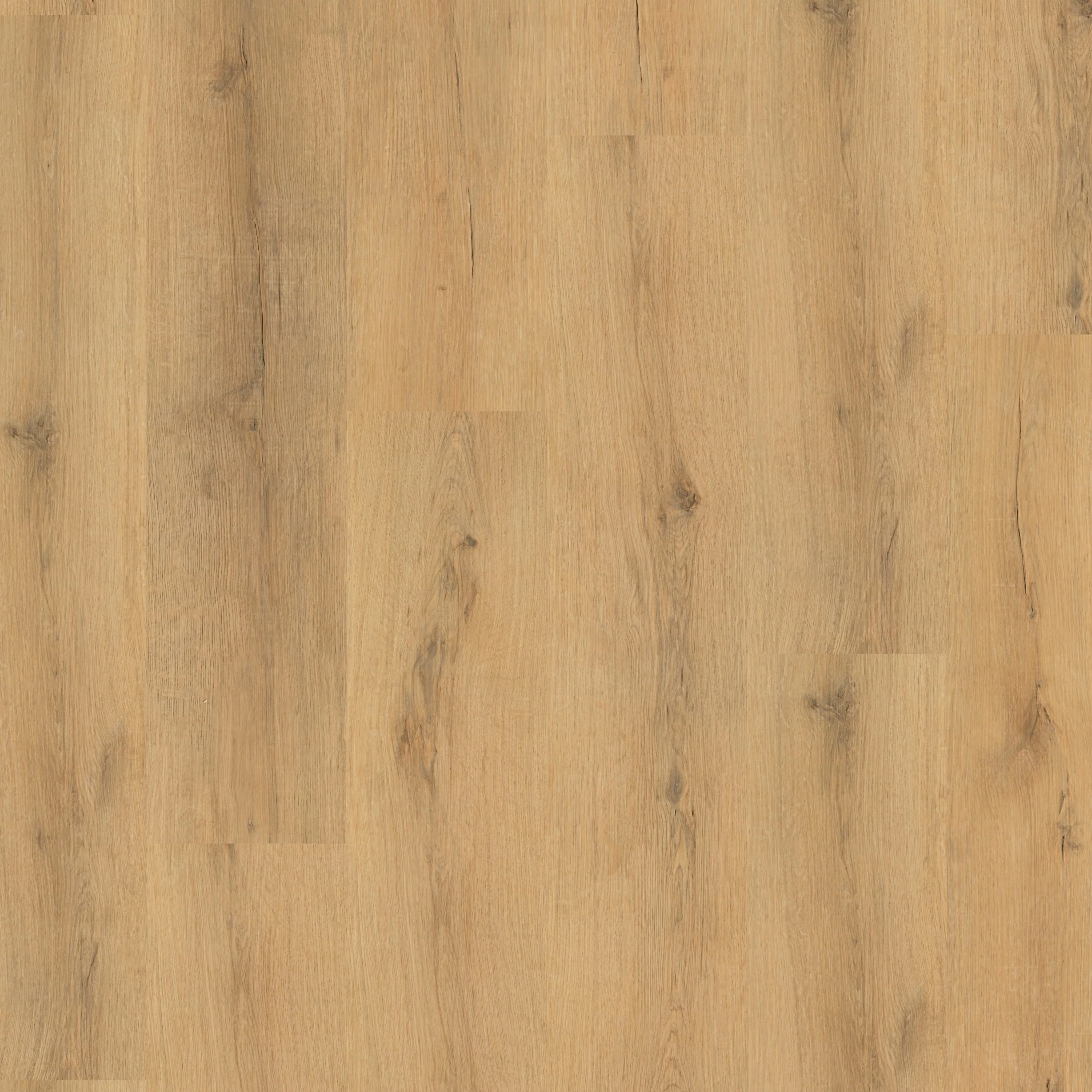 »Eiche Amsterdam« Klick-Vinylboden - Image 4